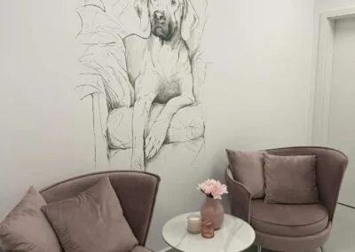 Фото догляду за собакою в&nbsp;салоні Dog Soul 2