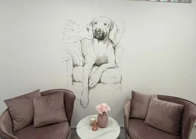 Фото догляду за собакою в&nbsp;салоні Dog Soul 3