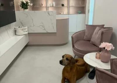Фото догляду за собакою в&nbsp;салоні Dog Soul 18